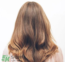 半编鱼尾花头教程图解_半编鱼尾辫的编法图解